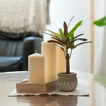 Marewa 80 Qm Niederdorla