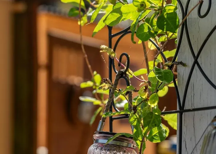 Apartment Marewa 80 Qm Niederdorla