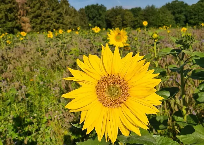 Apartment Marewa 80 Qm