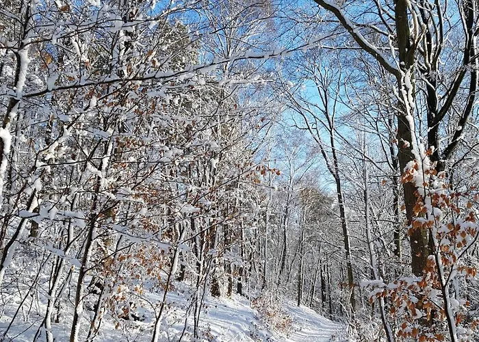 Marewa 80 Qm Niederdorla